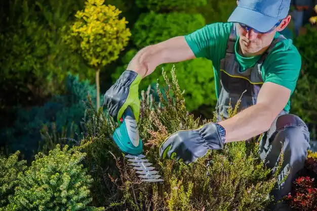 landscaping services Campbellsburg